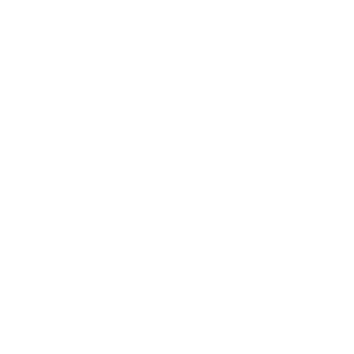Colaborador 2